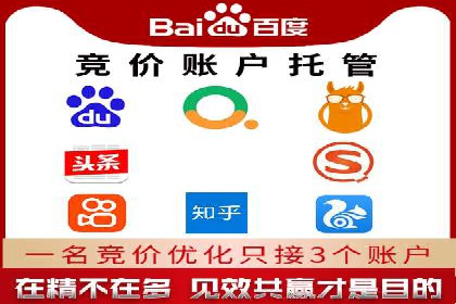 某电商平台的SEM推广策略及效果分析